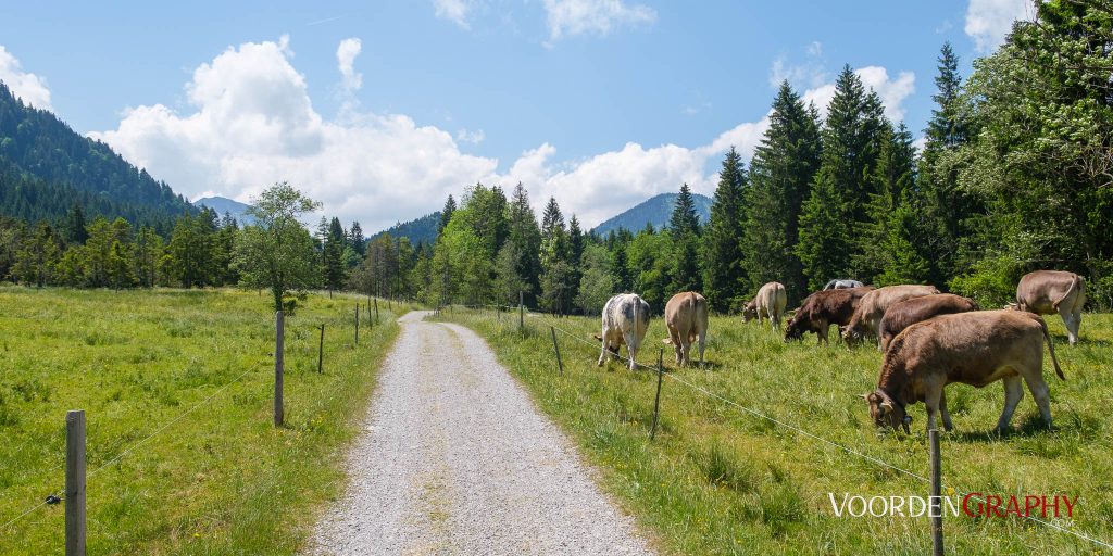 2023 Radrunde Allgäu