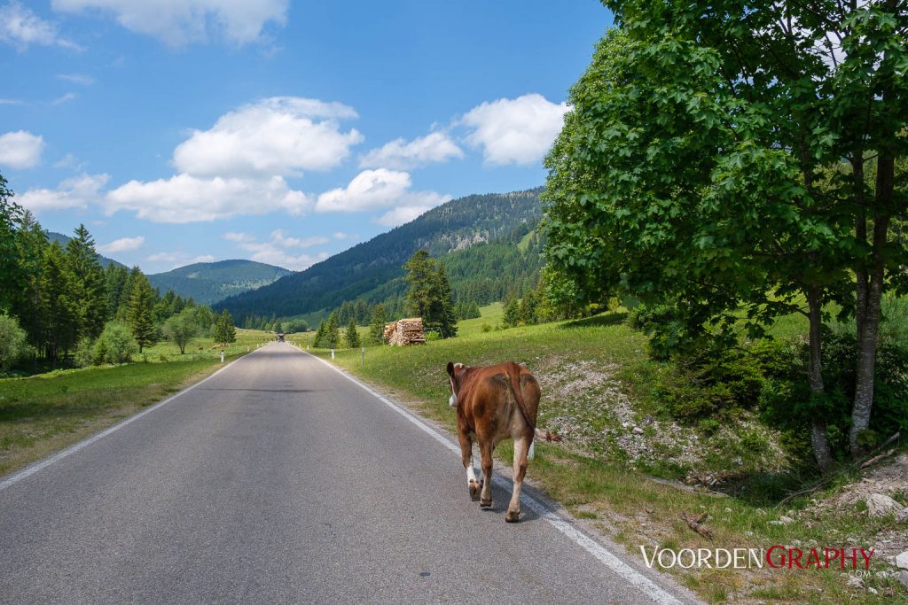 2023 Radrunde Allgäu